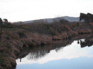 Upriver -left