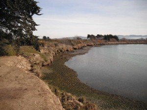 left bank low tide